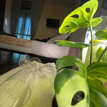 Comfortable Apartment, Near The Center Of * Modena